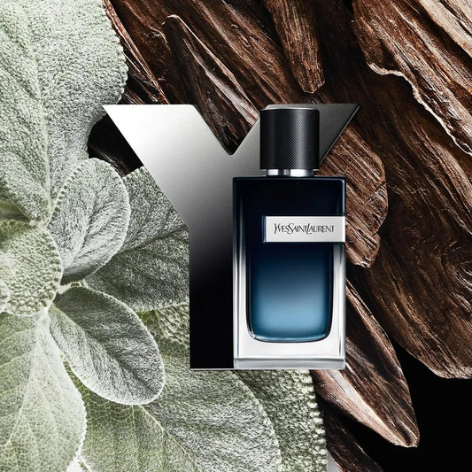 Decant Y EDP - YSL