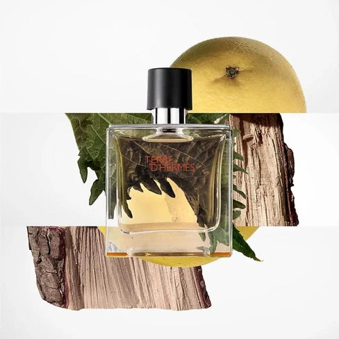 Decant Terre d'Hermes Parfum