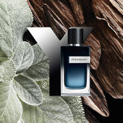 Decant Y EDP - YSL