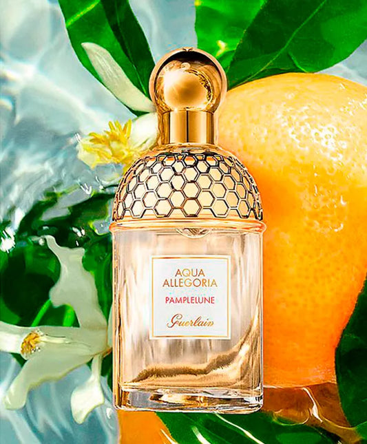 Decant Aqua Allegoria Pamplelune - Guerlain
