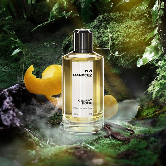 decants perfumes chile